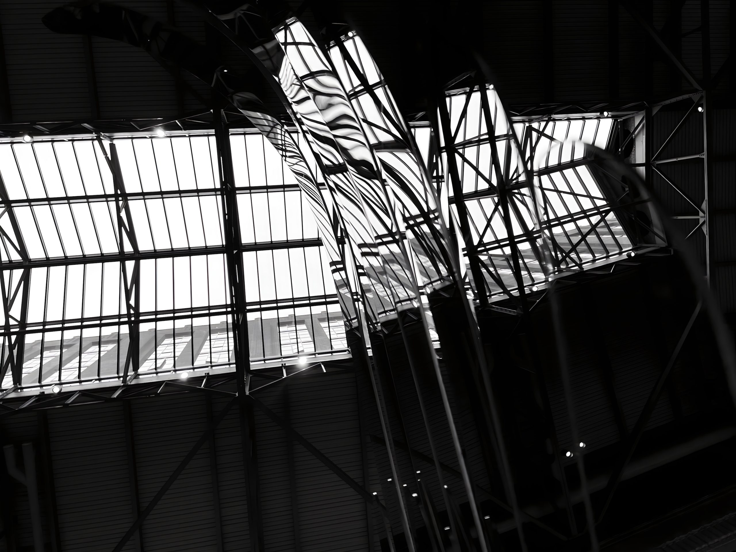 Angel Wing 100 X 133.33 39.37in X 52.36in