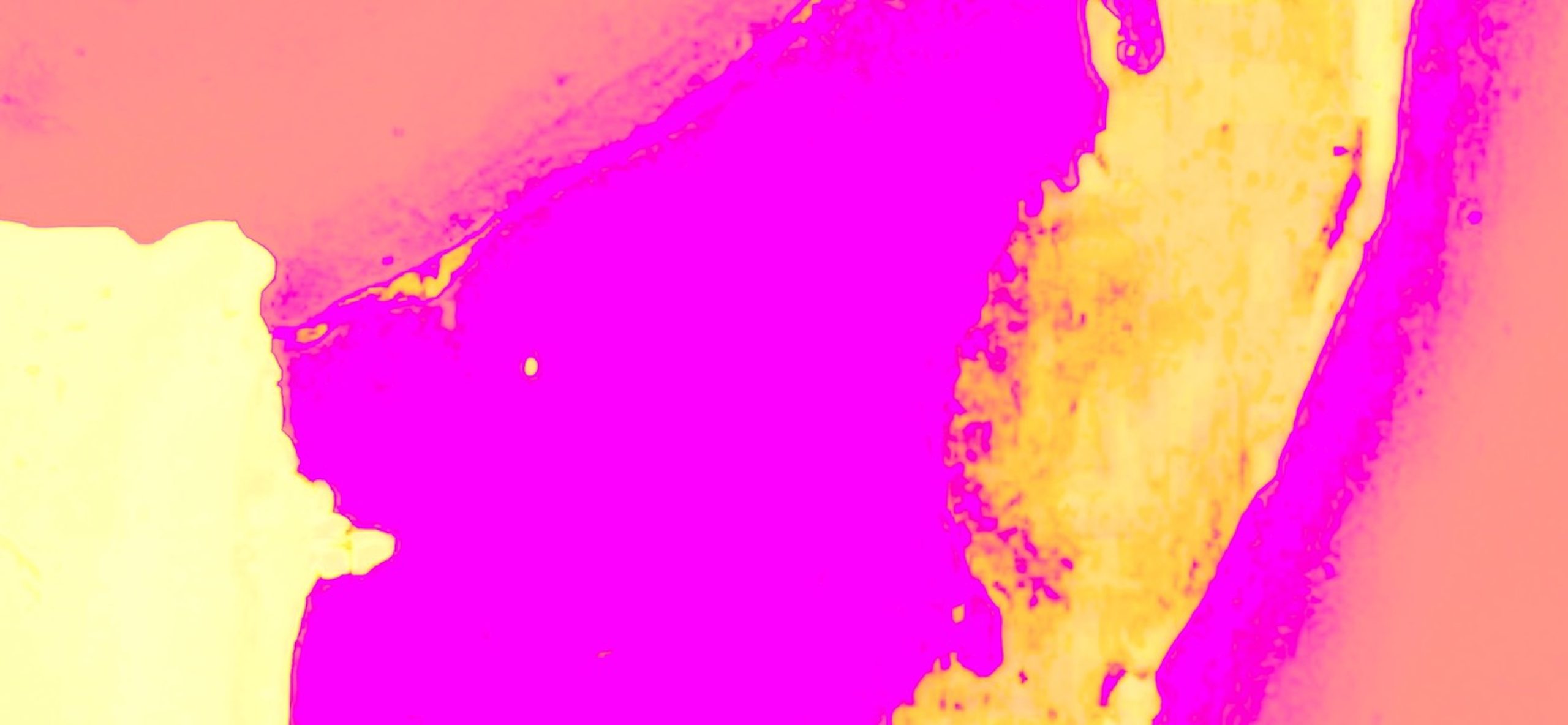 Cake 100 X 216.22 39.37in X 85.12in