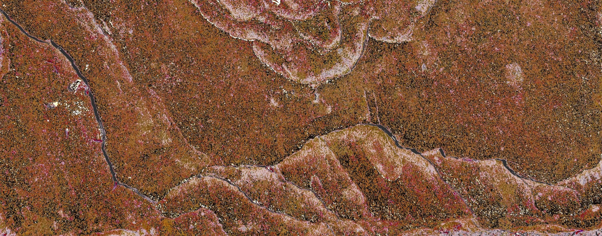 Country Rose 100 X 254.6 39.37in X 100.23in