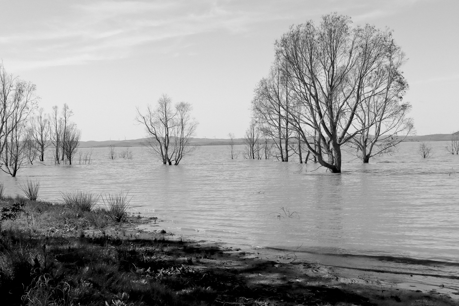 Pcb1720ob Lake George Ii Reduced Size