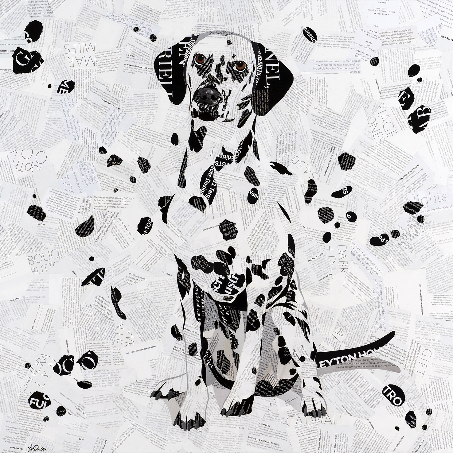 Sue Dowse Losing My Spots Primary 1