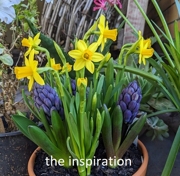 Mini Daff & Fat Hyacinth Unspiration Fofr Inst