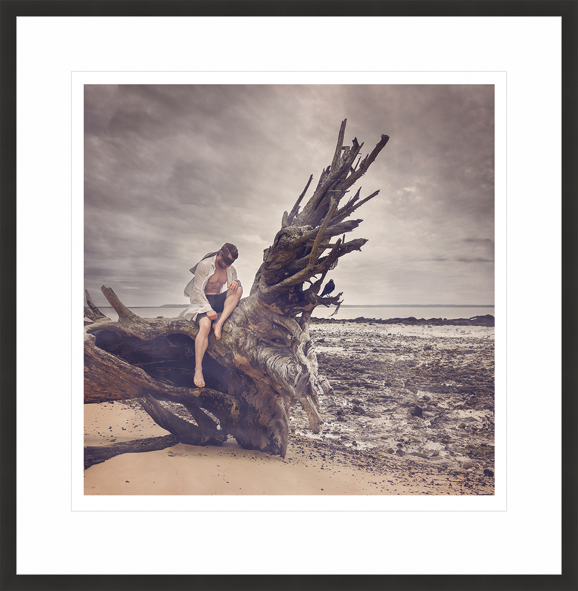 Driftwood Hope 50x50 Blk