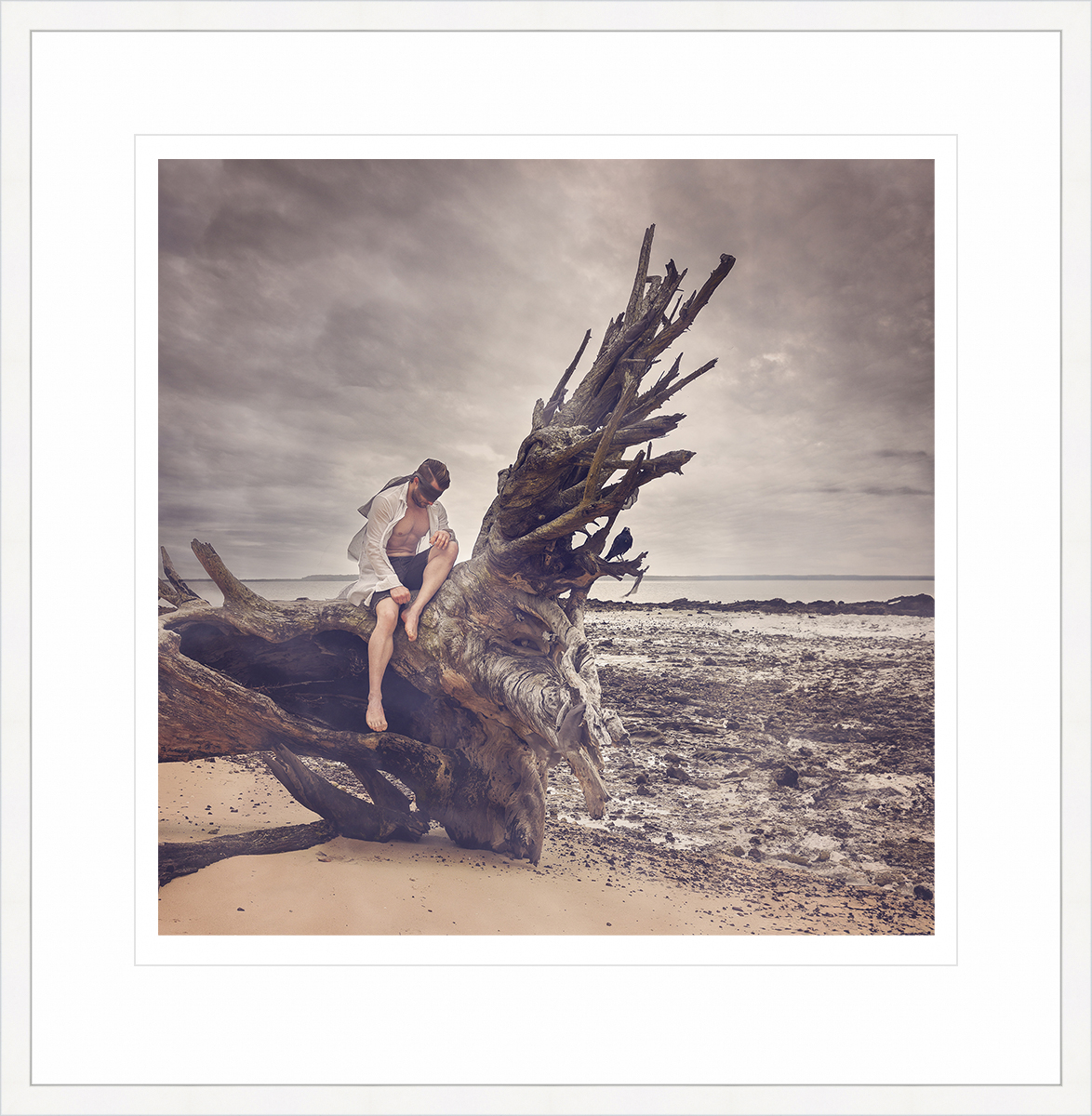 Driftwood Hope 50x50 Wht