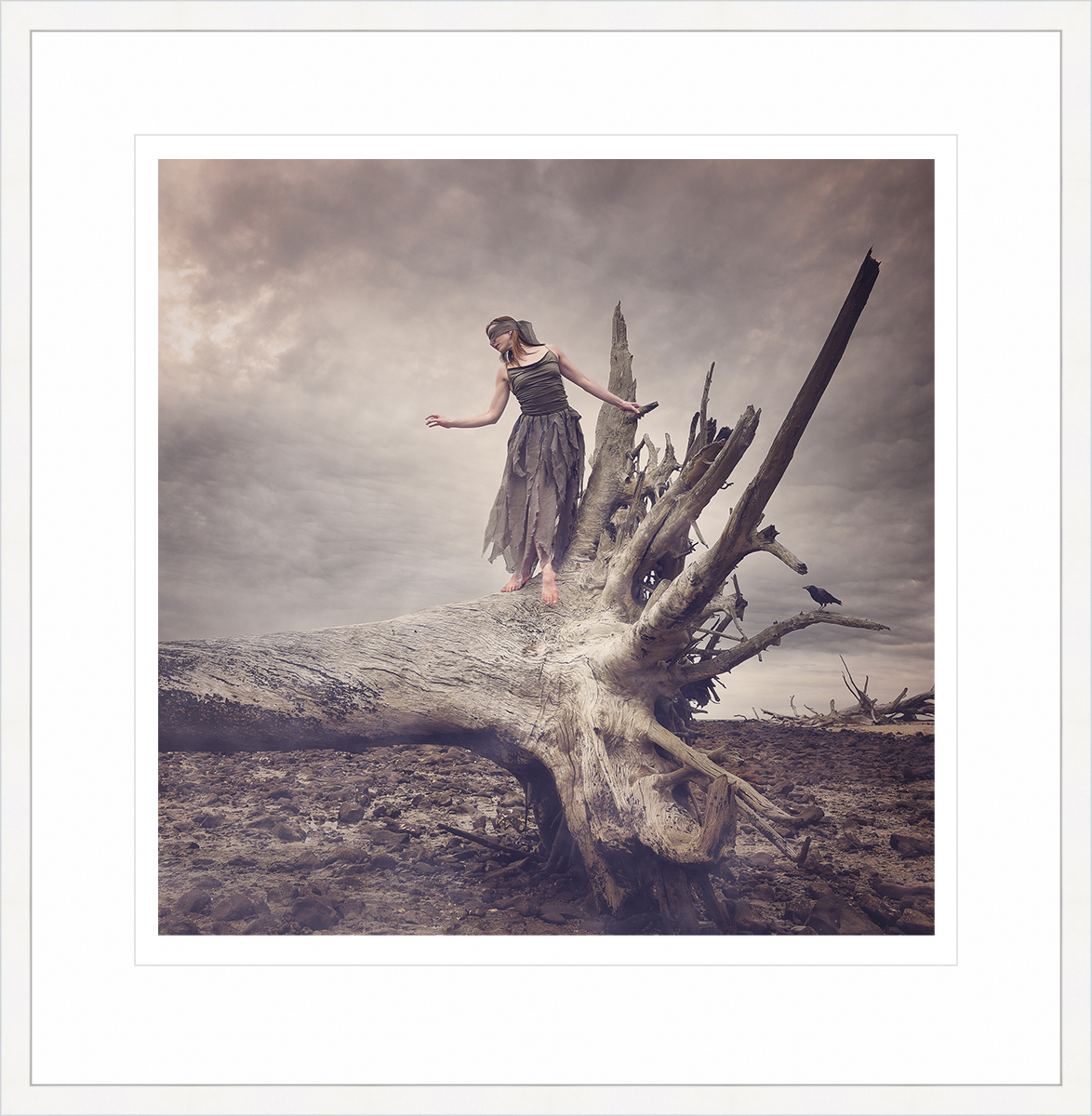 Driftwood Promise 50x50 Wht