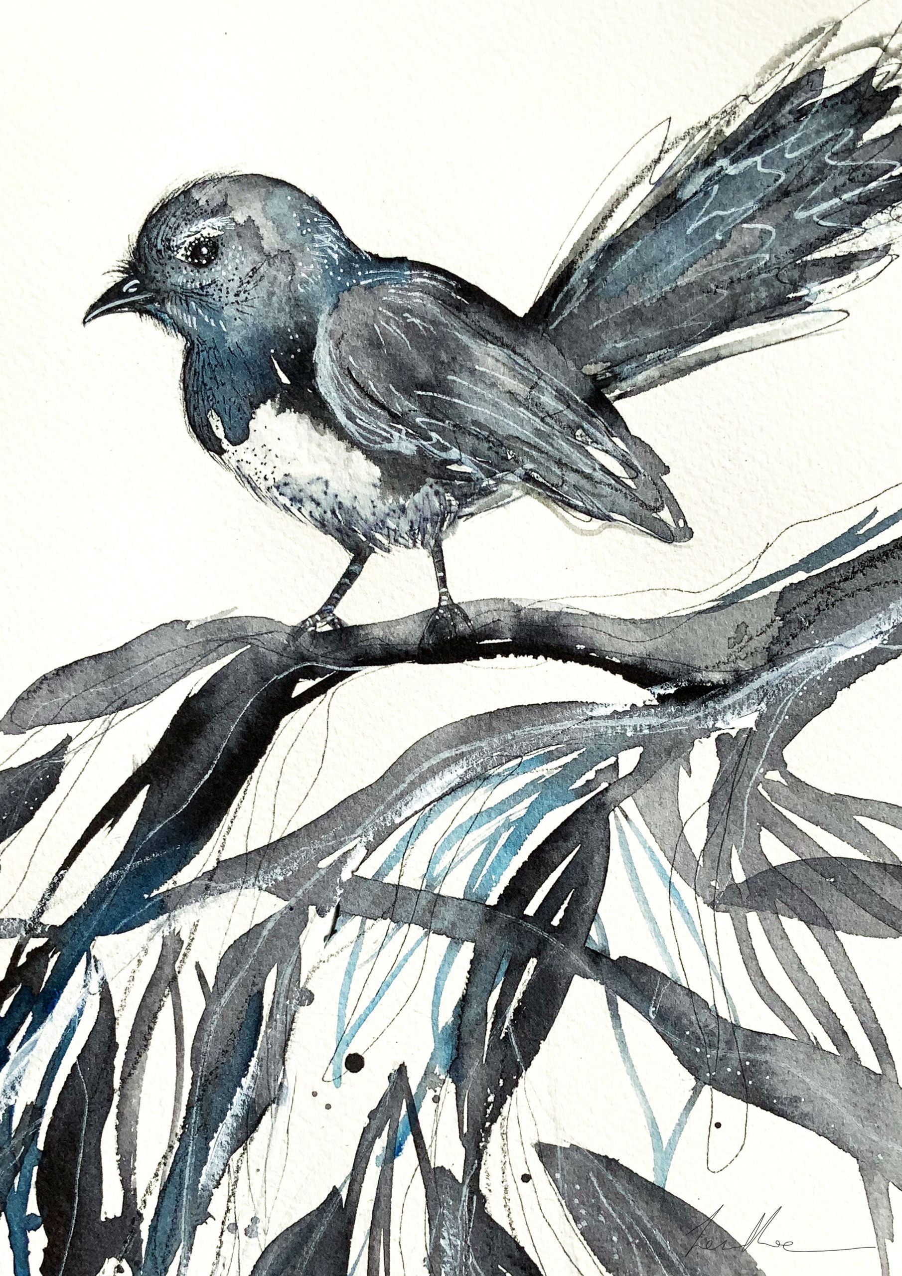Sydney Artist Leni Kae Willy Wagtail On A Wonder Closeup2