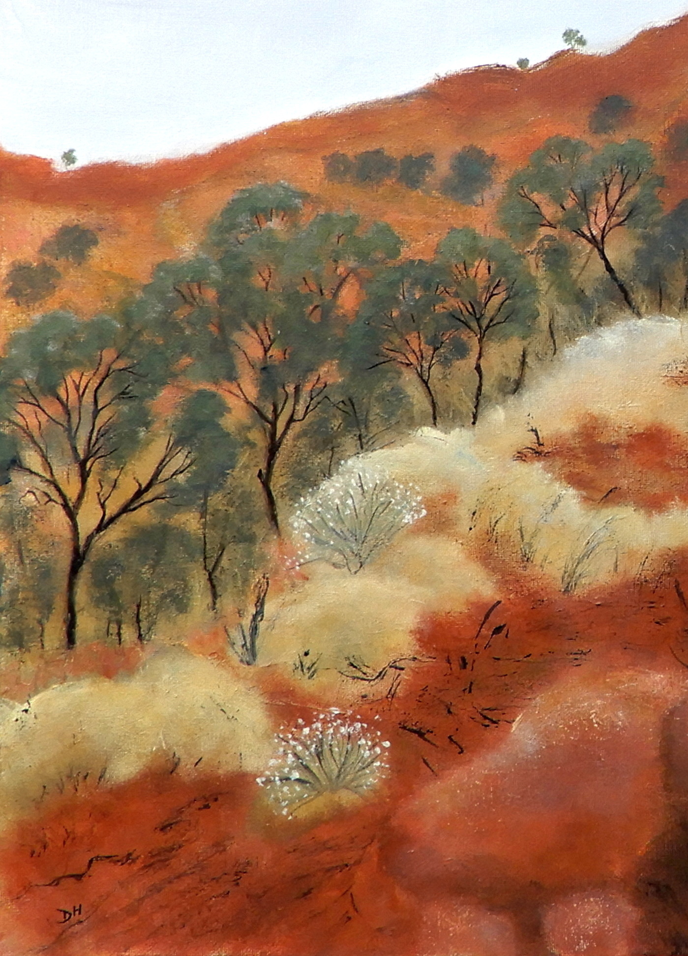 Doodie Herman Top Of The Range Landscape 002