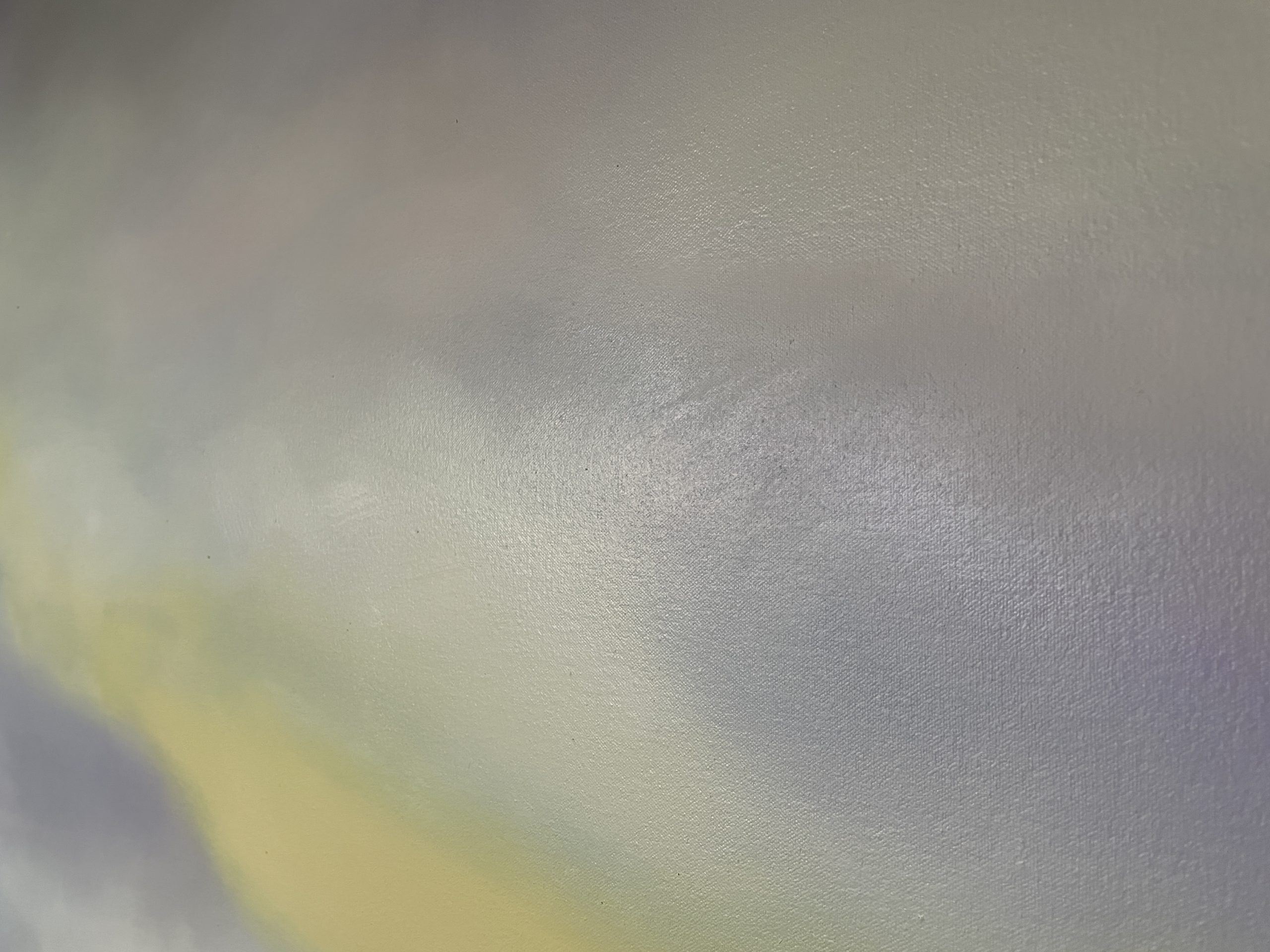 Img 1704 Colour Field 8 Closeup 1