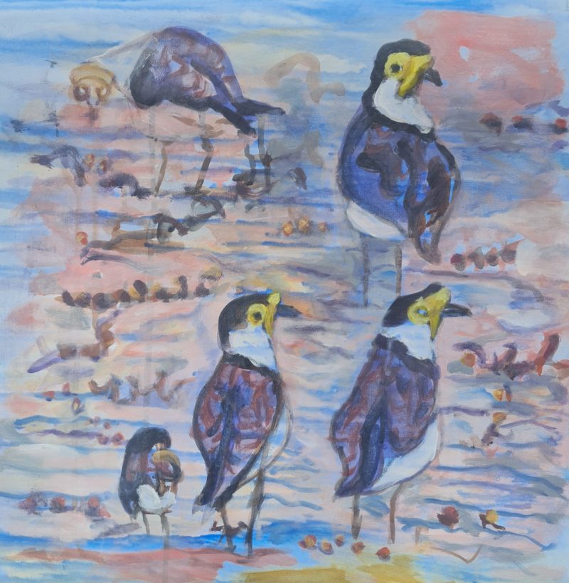 The Plovers