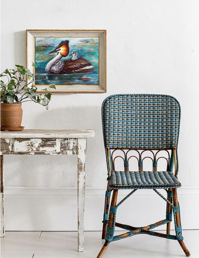 Crested Grebe Insitu