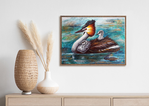 Crested Grebe Insitu3