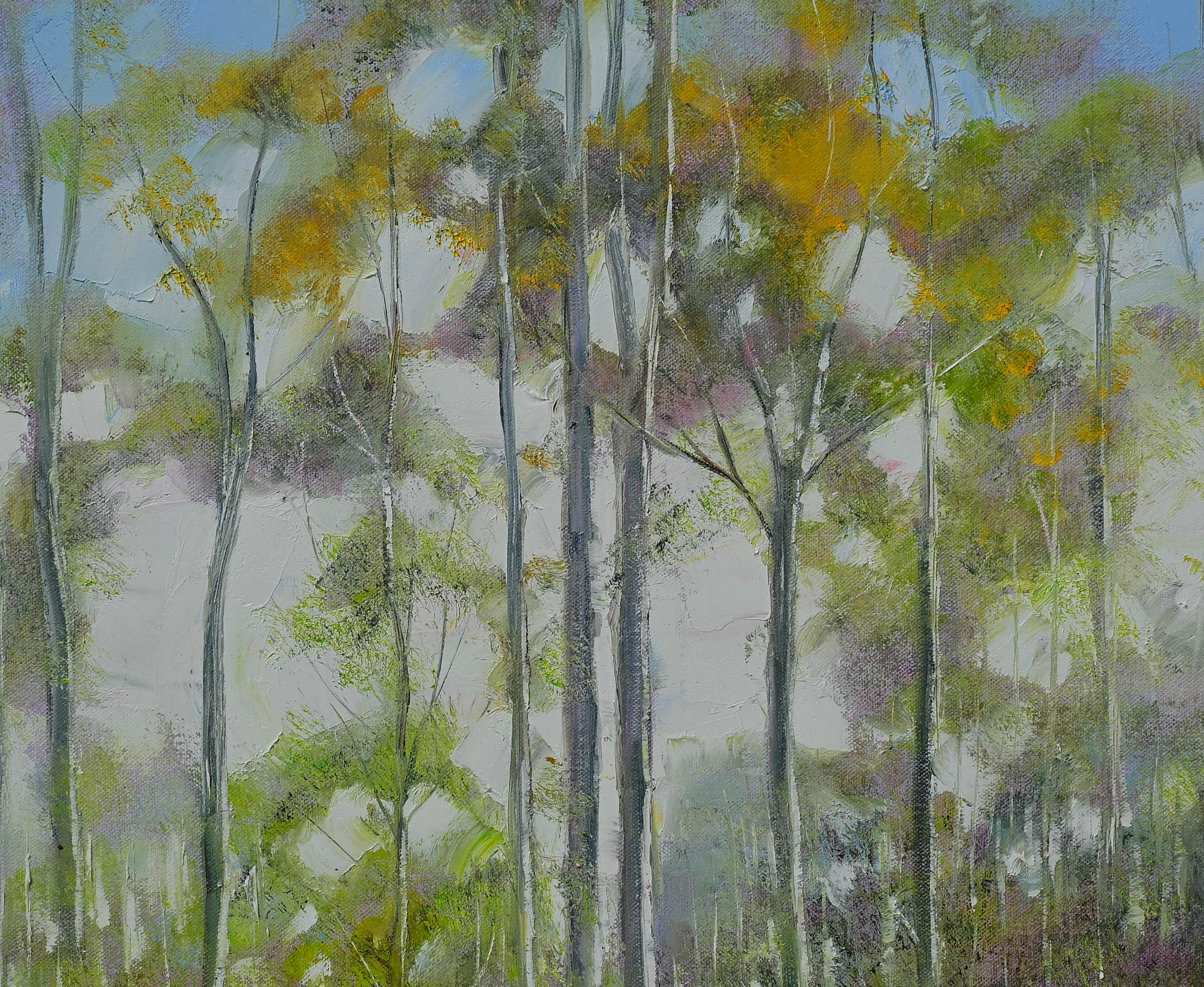 Karri Forest 2 Detail