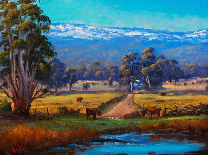 Grazing near the Snowy Mountains
