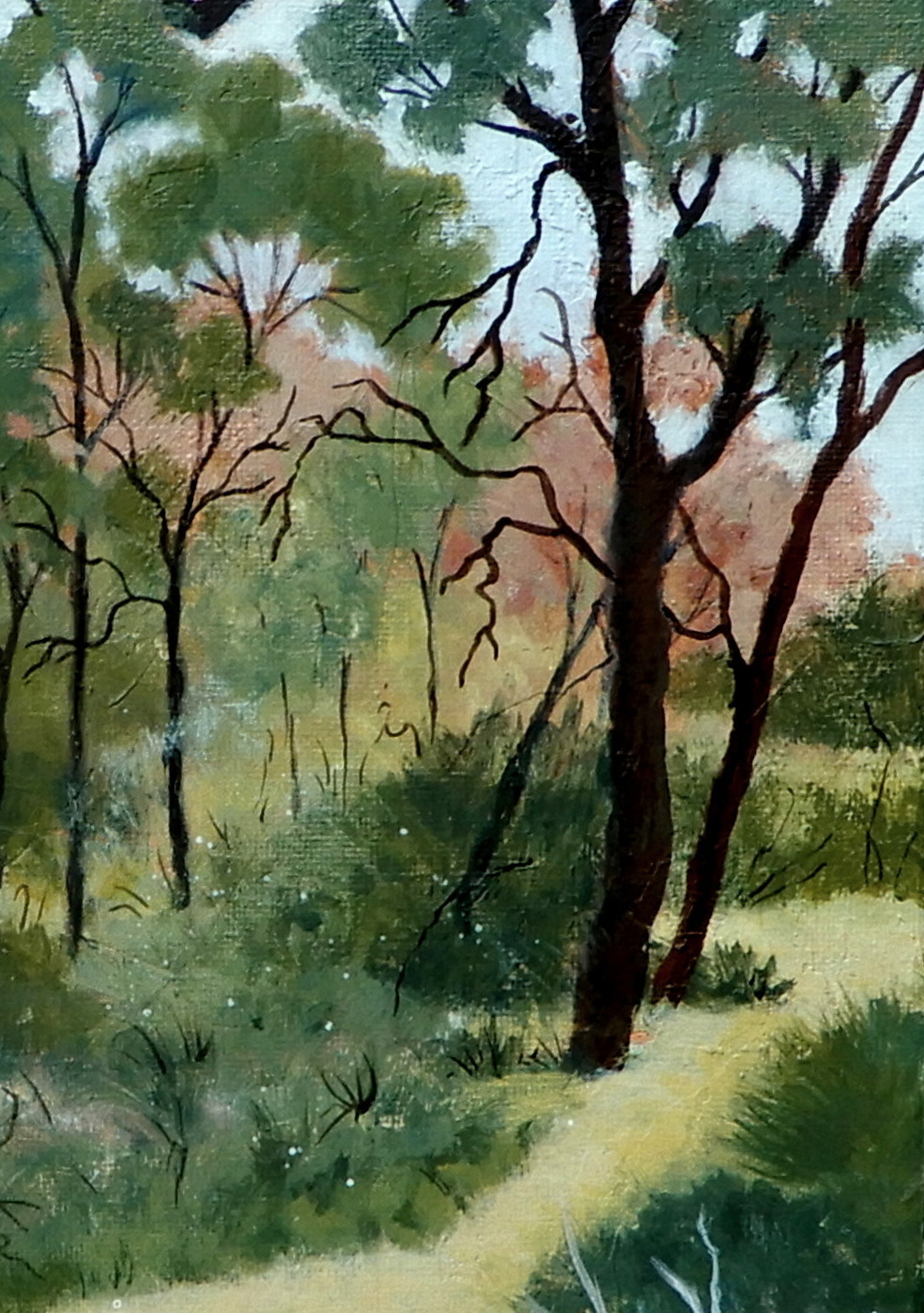 Doodie Herman Bushwalk Wireless Hill Landscape 002