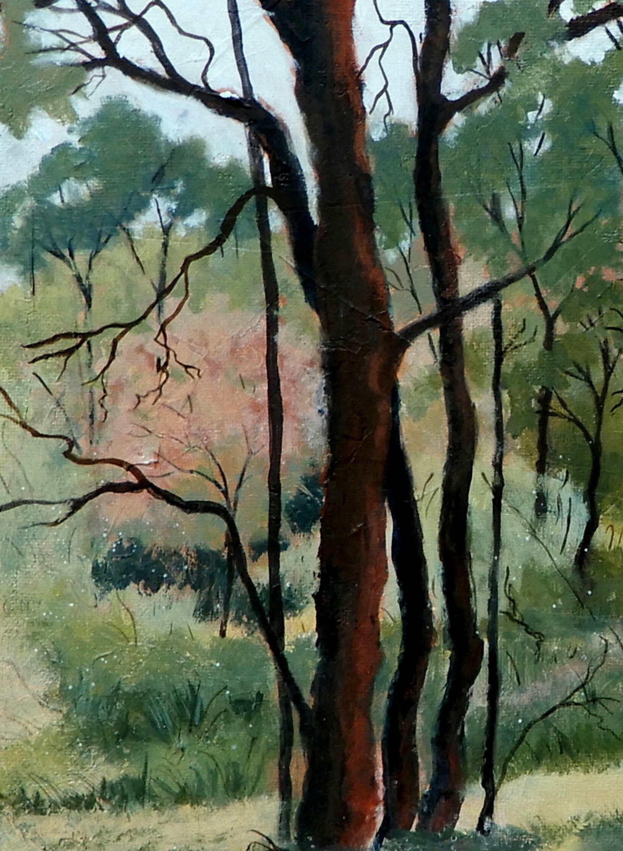 Doodie Herman Bushwalk Wireless Hill Landscape 003