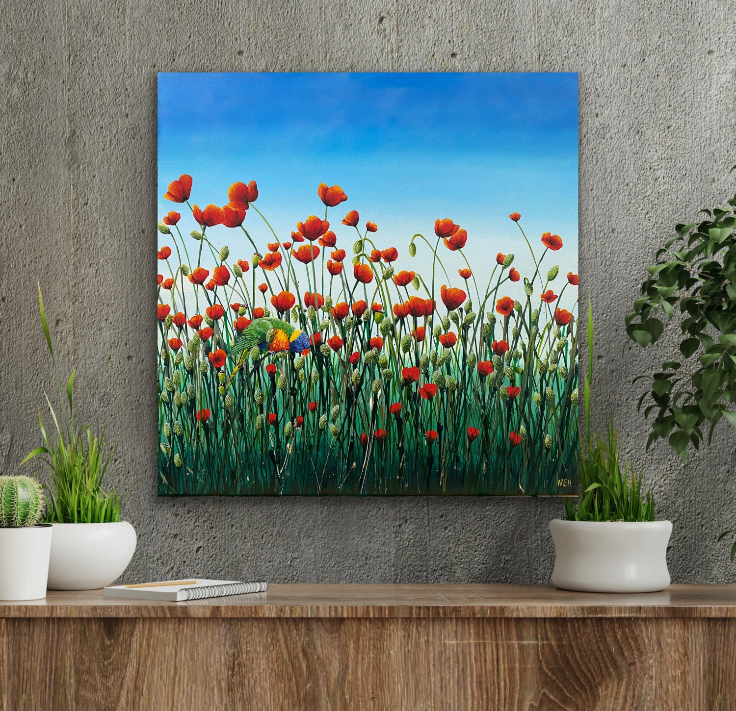 Lorikeet Kim Neil In Situ 3