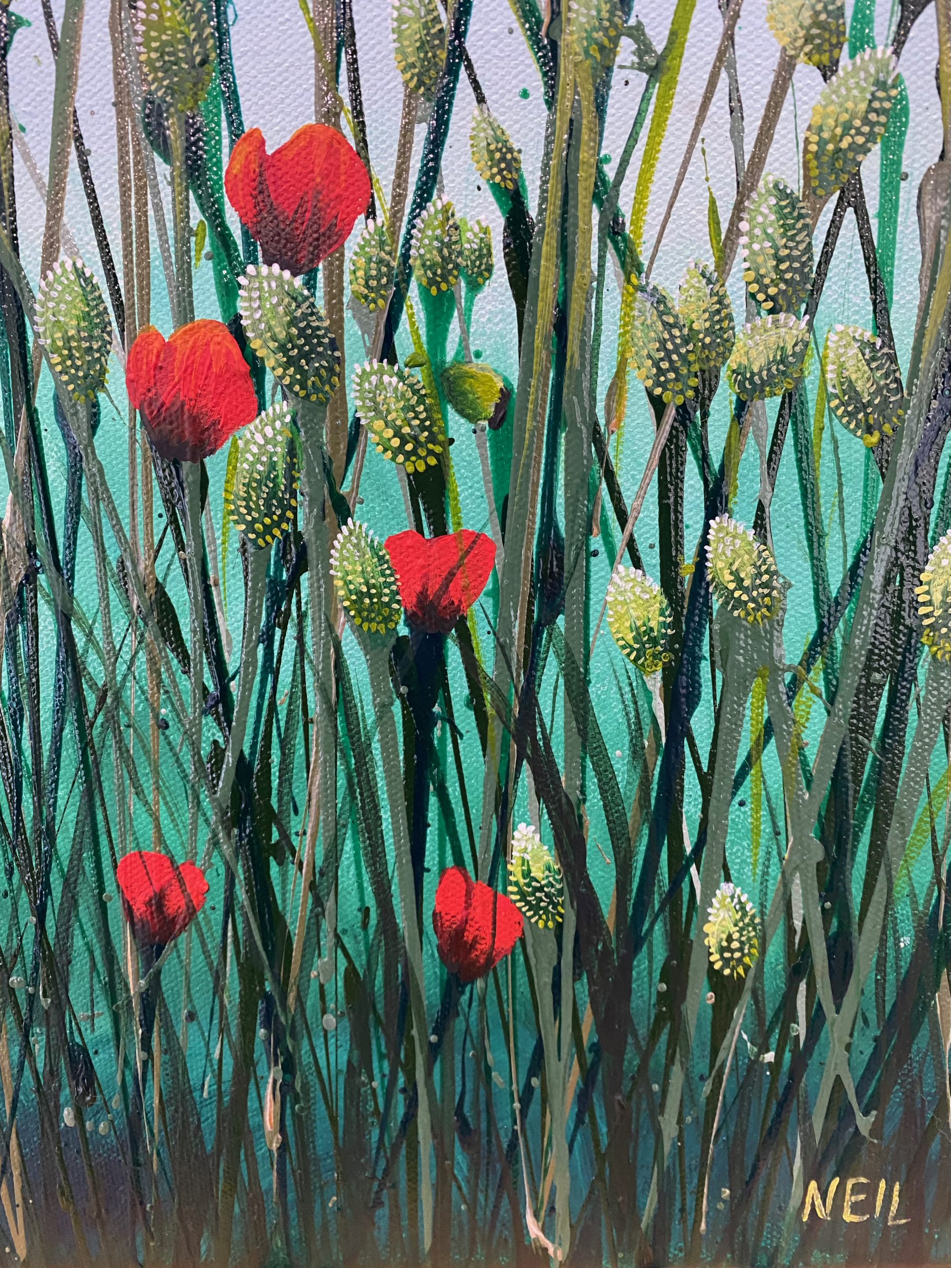 Lovely Lorikeet Kim Neil Sign