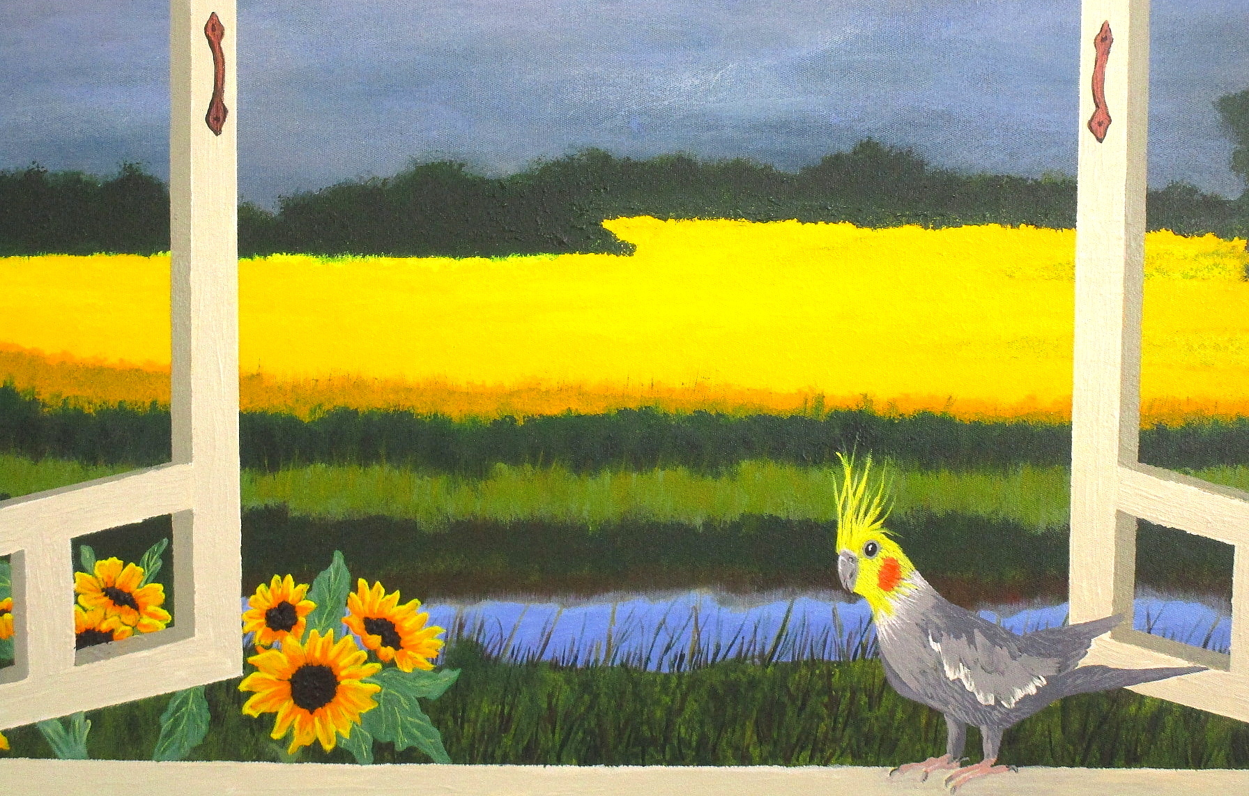 Canola Golden Outlook Zoom 2