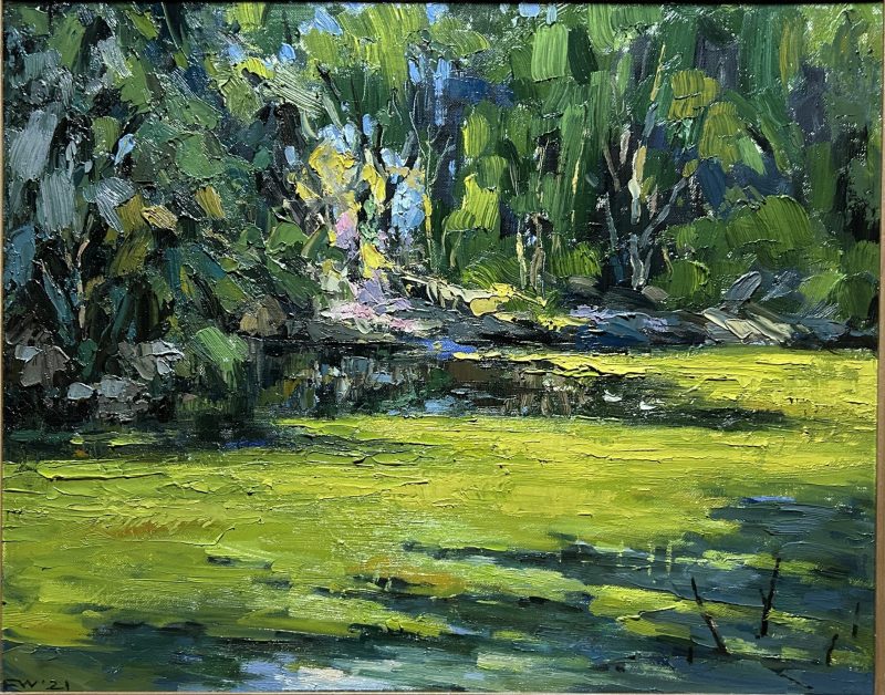 Afternoon sunlight by the lake