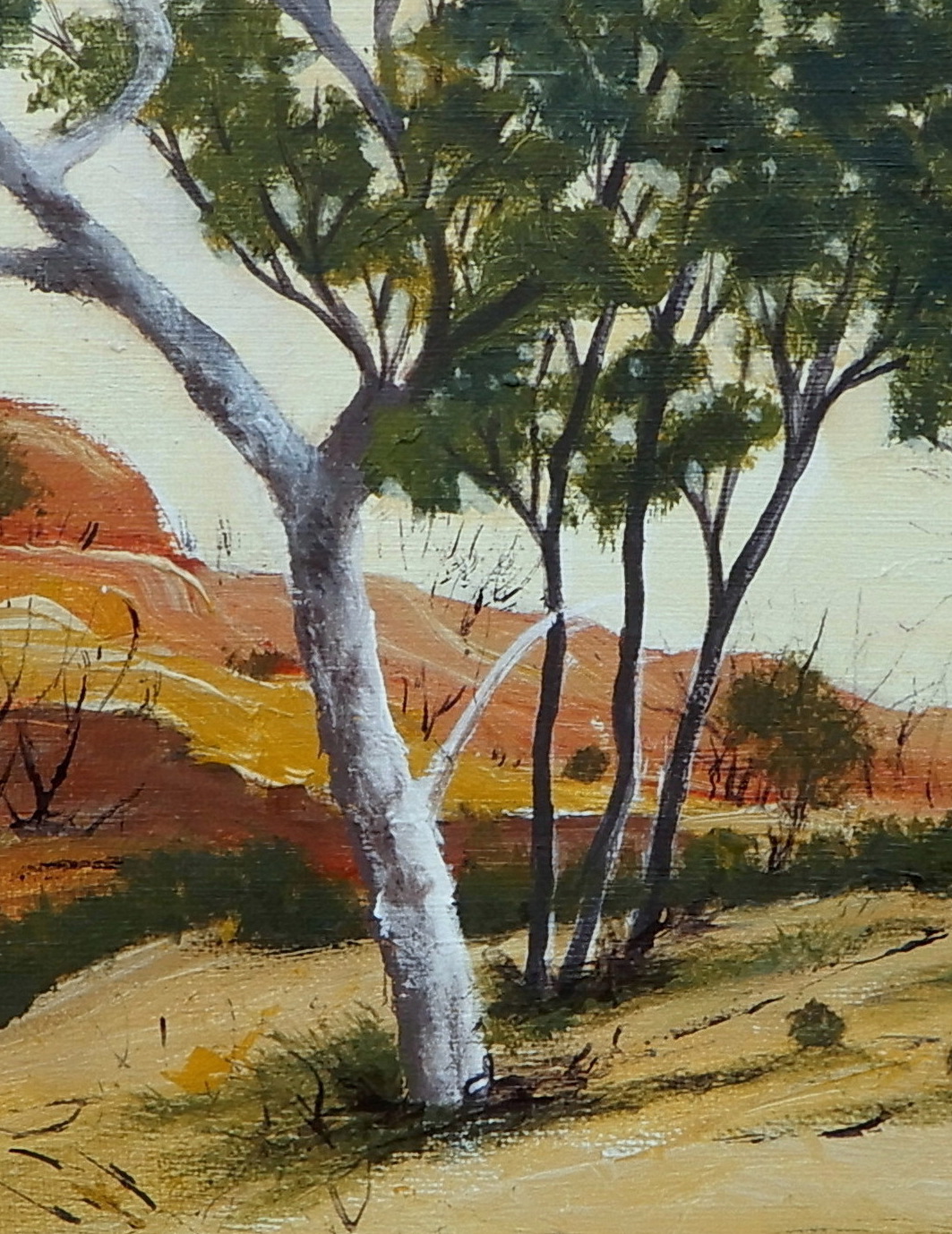 Doodie Herman River Gums Landscape 001