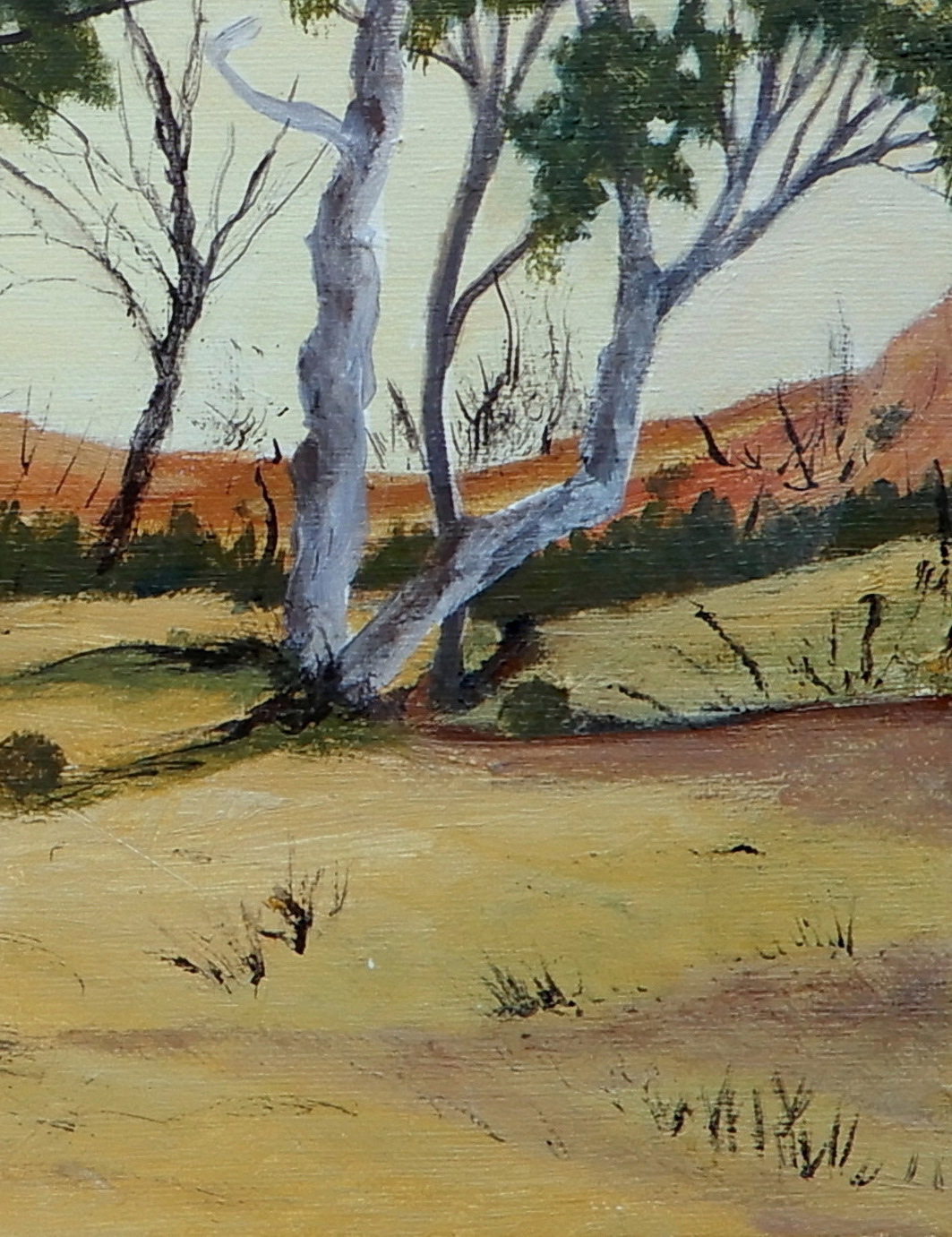 Doodie Herman River Gums Landscape 002
