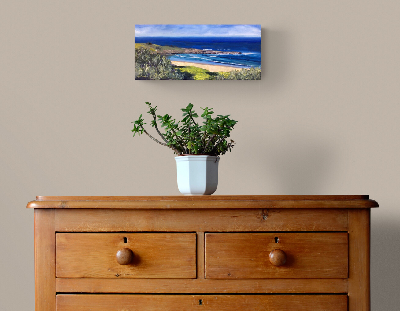 Plant On Wooden Drawers (10)