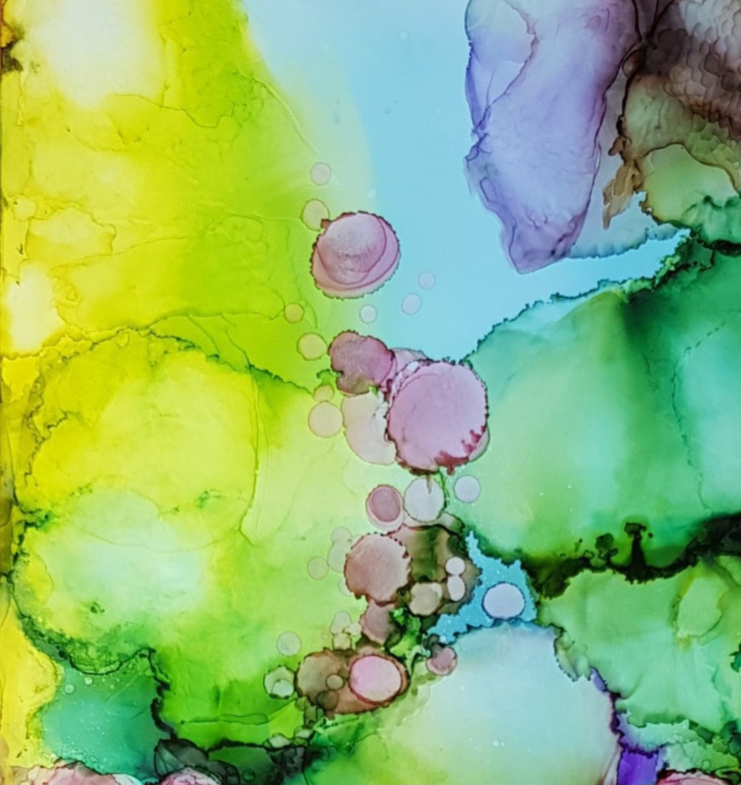 Tapscanner 11 24 2023 18꞉09 20231126 213221 277 65