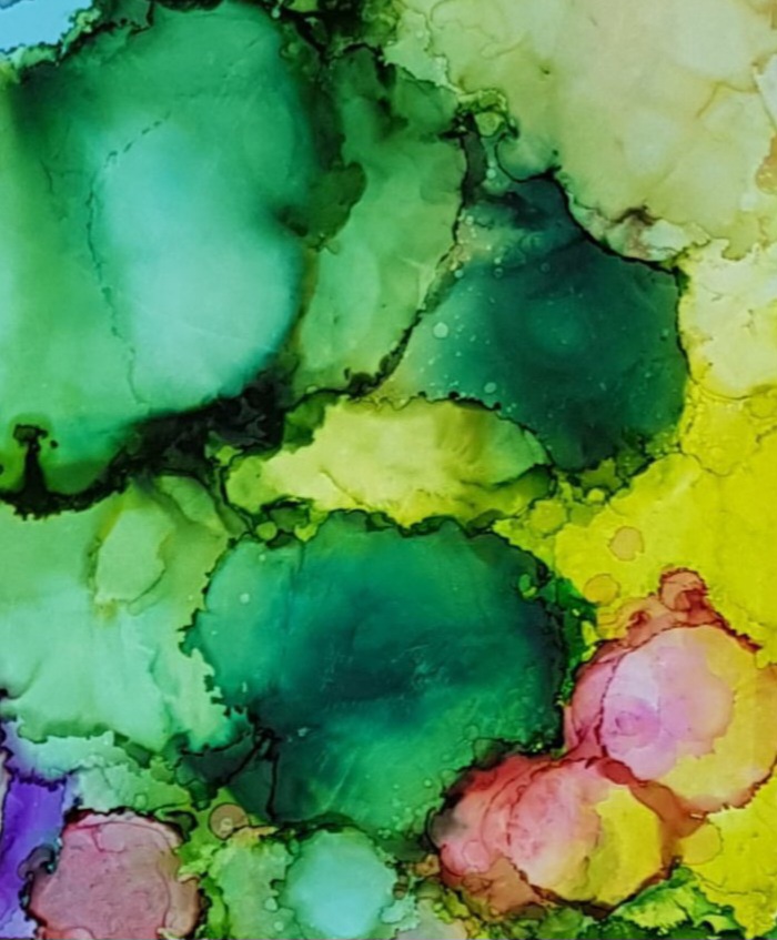 Tapscanner 11 24 2023 18꞉09 20231126 213333 731 36