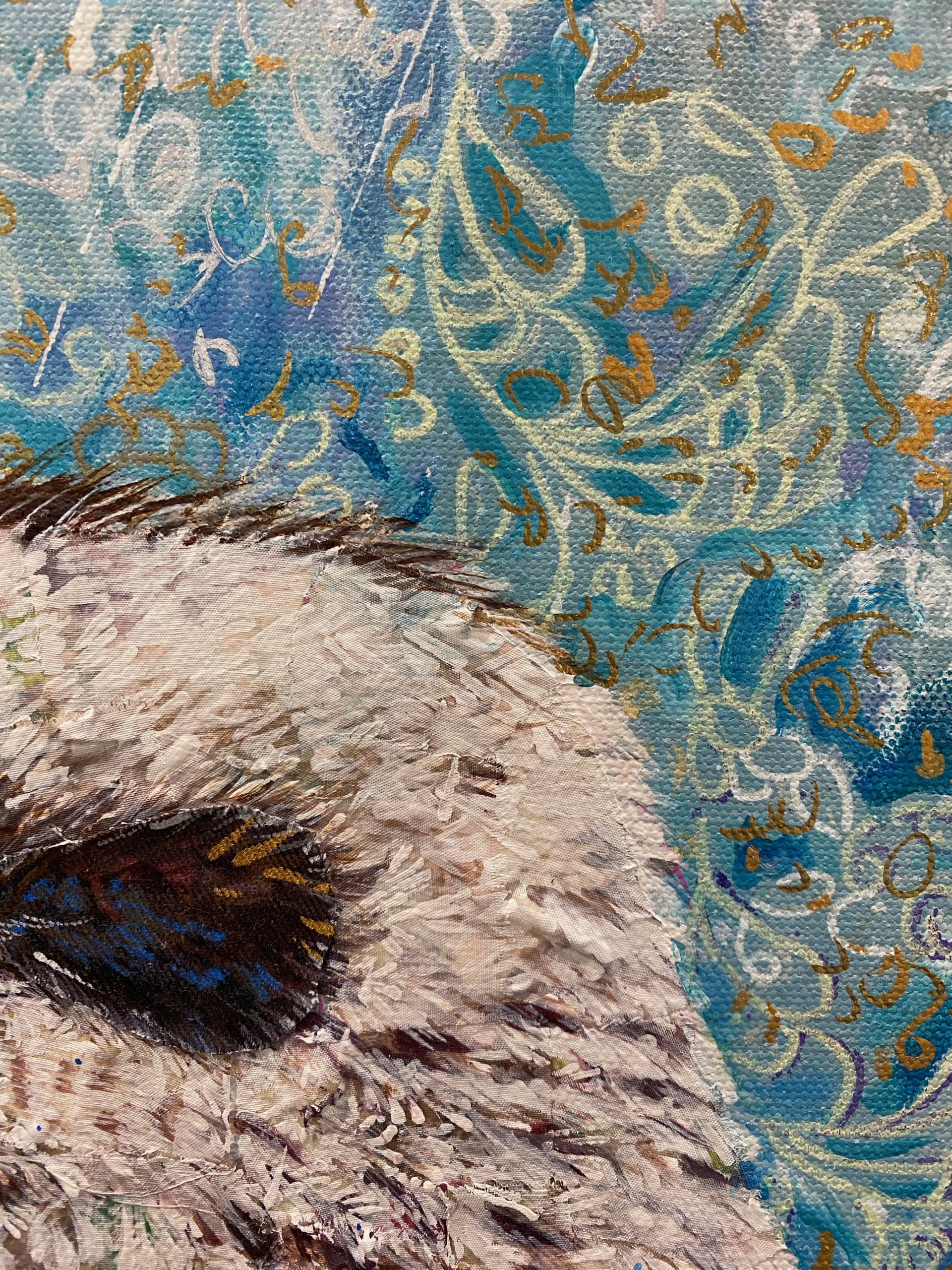 Thanks Mr Kookaburra Kim Neil Detail