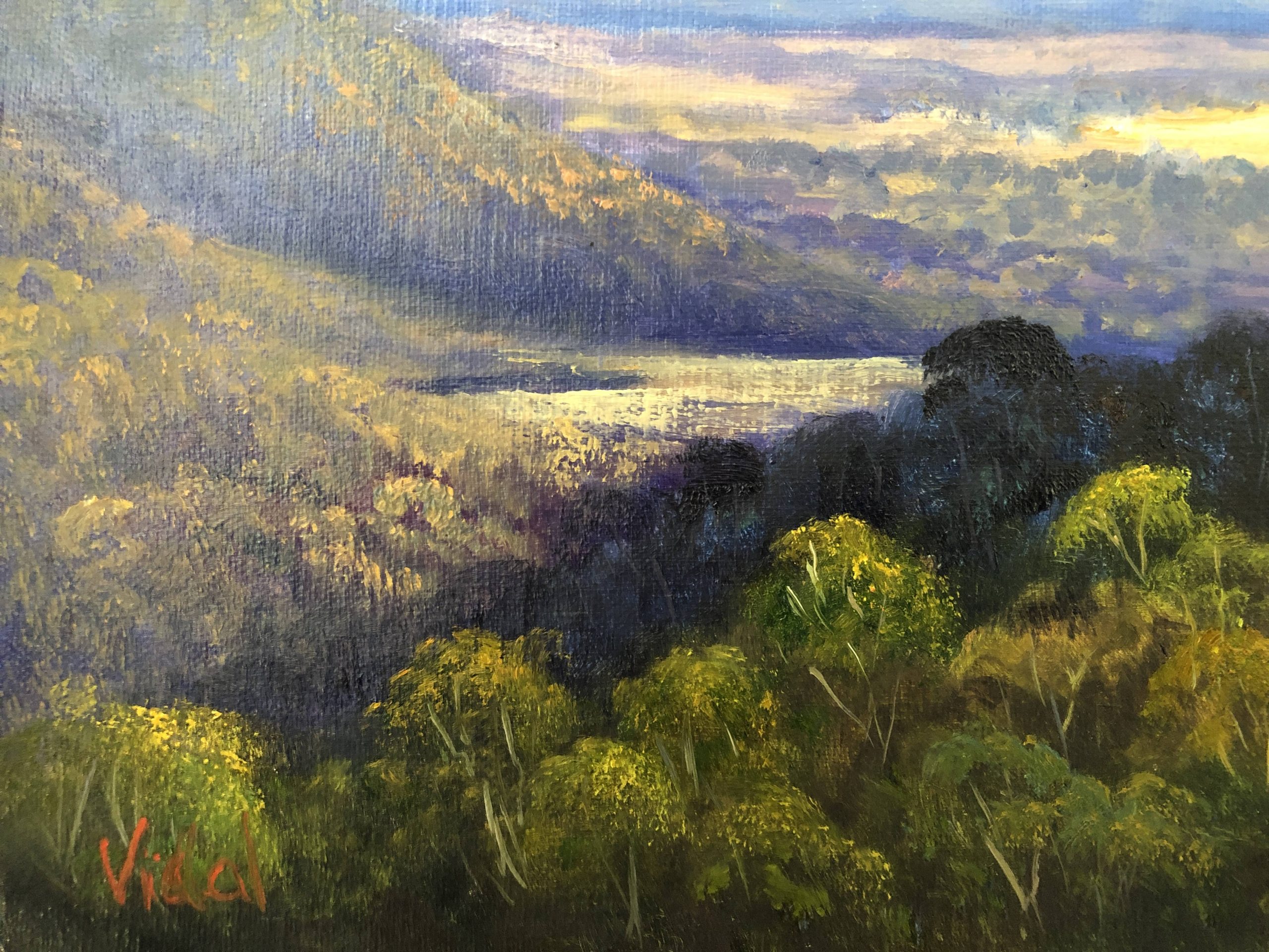 2023p1042 Rock Wall At Blackheath, Blue Mountains Detail 2