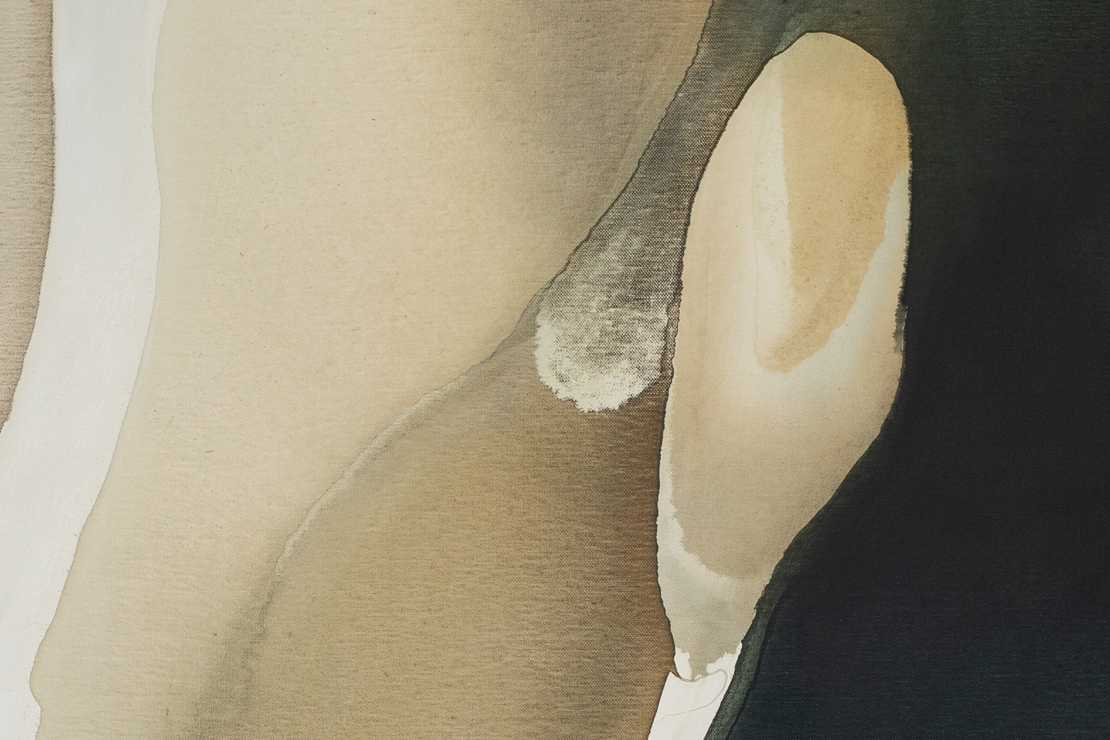Cove (detail 2)
