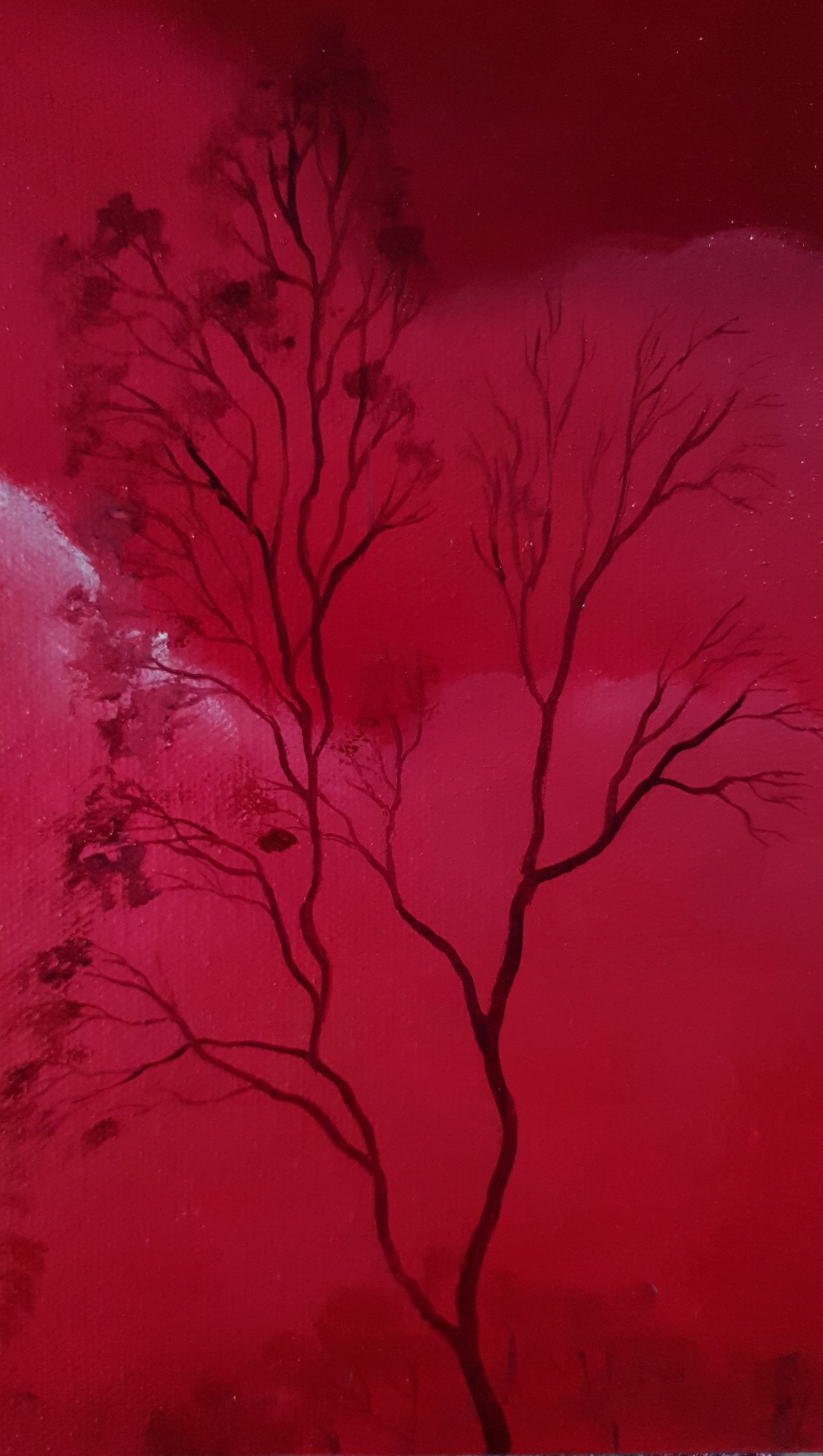 Scarlet Skies Lucinda Leveille 3