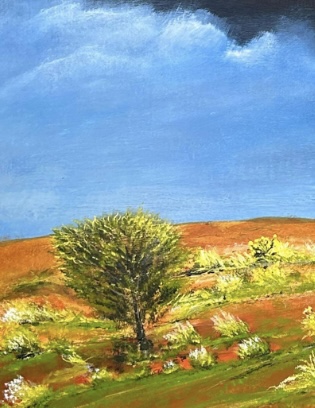 557077fd 005d 4a74 Ba5d Ab0dd7e1c36d