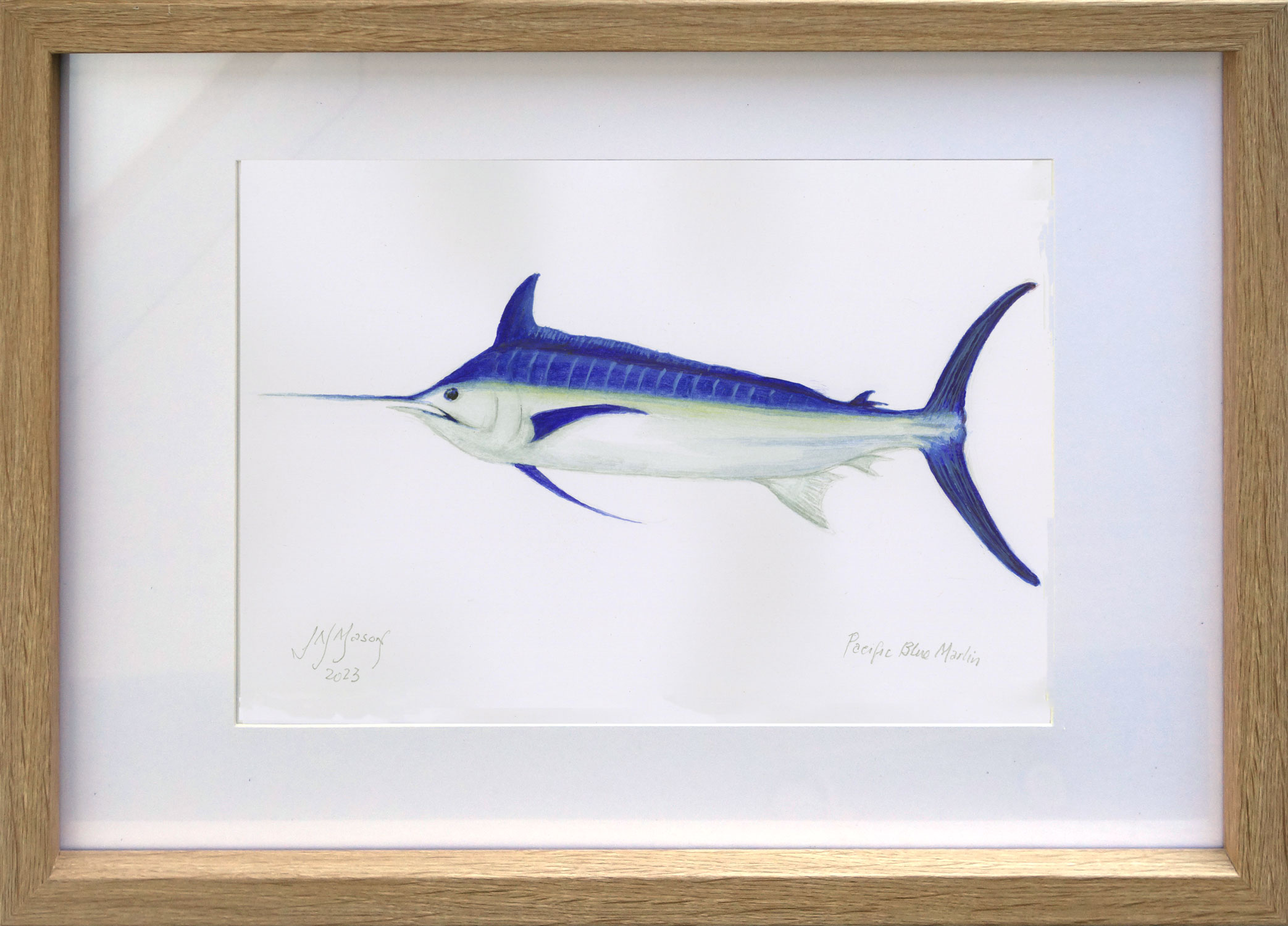Bluemarlin Framed 1500pxy