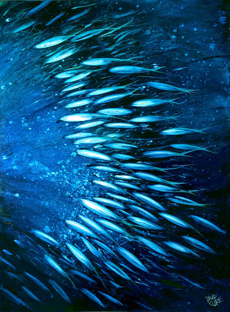 Fish In Deep Blue