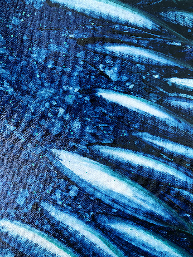 Fish In Deep Blue Close Lr