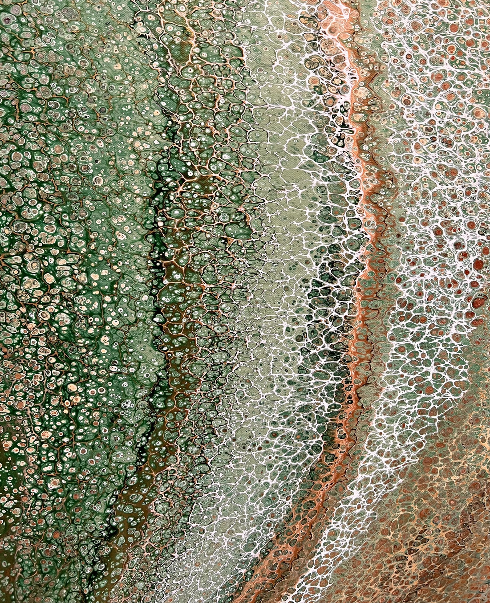 Img 7137