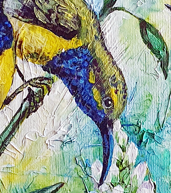 Olive Bacl Sunbirds Mob Det2