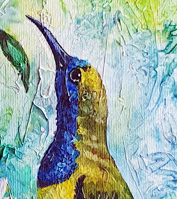 Olive Bacl Sunbirds Mob Det3