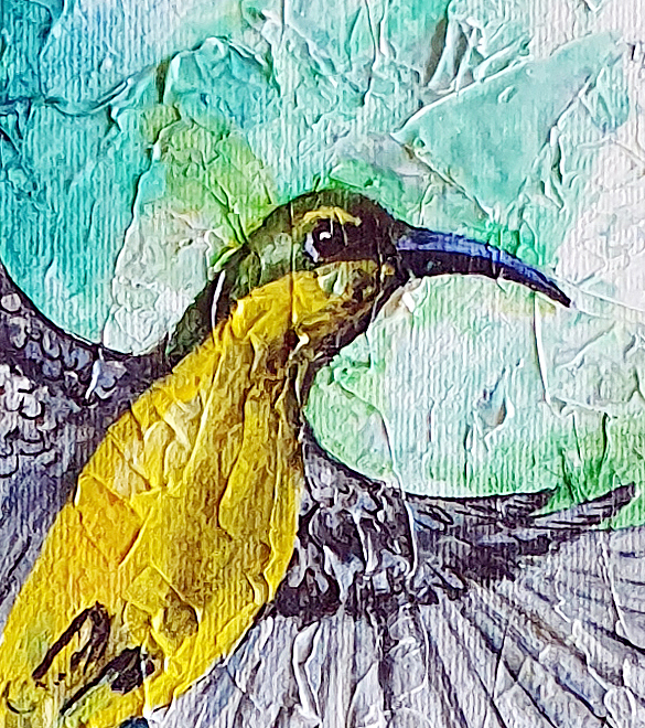 Olive Bacl Sunbirds Mob Det4