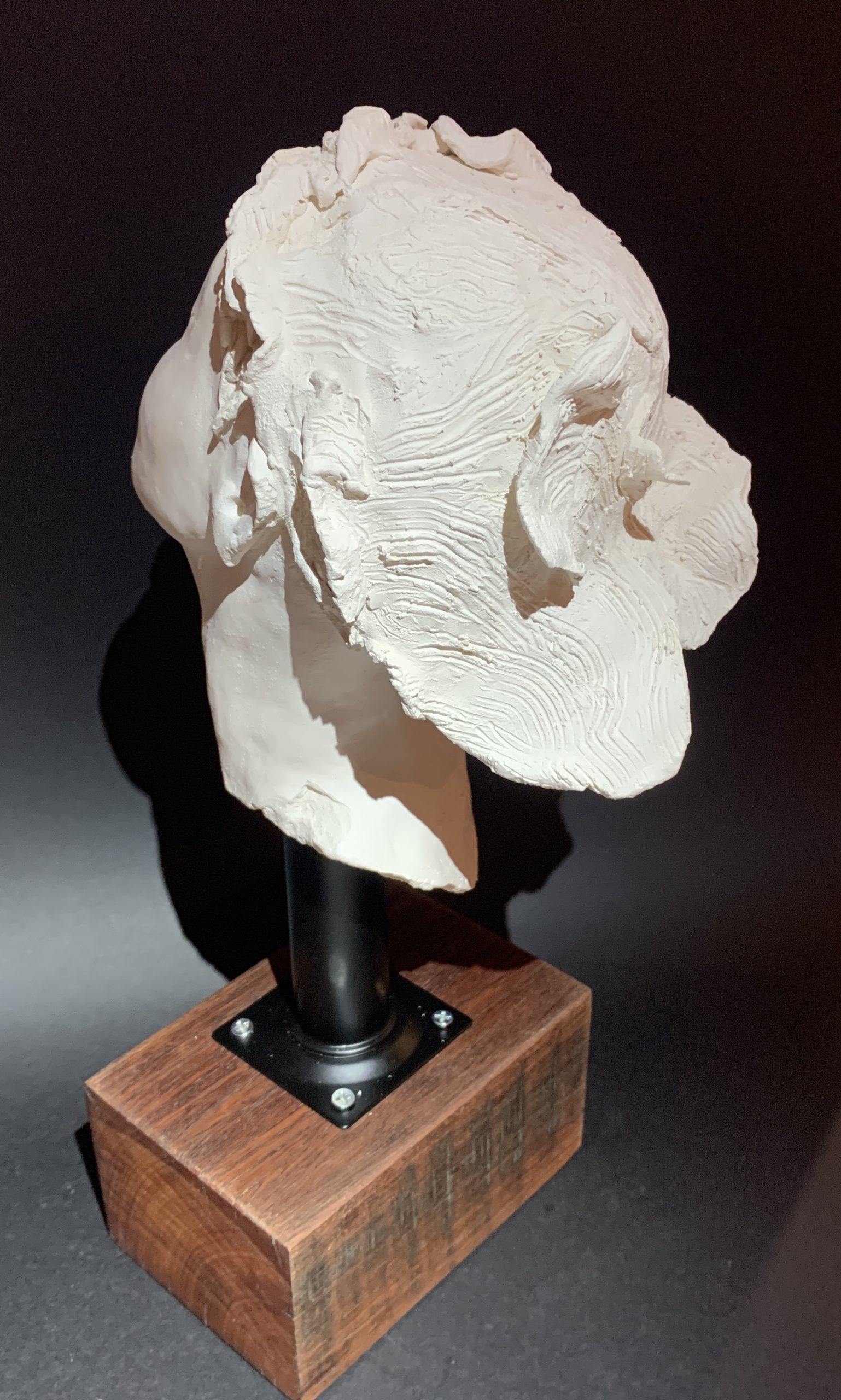 Kim Rees Fallen Woman On Black 5