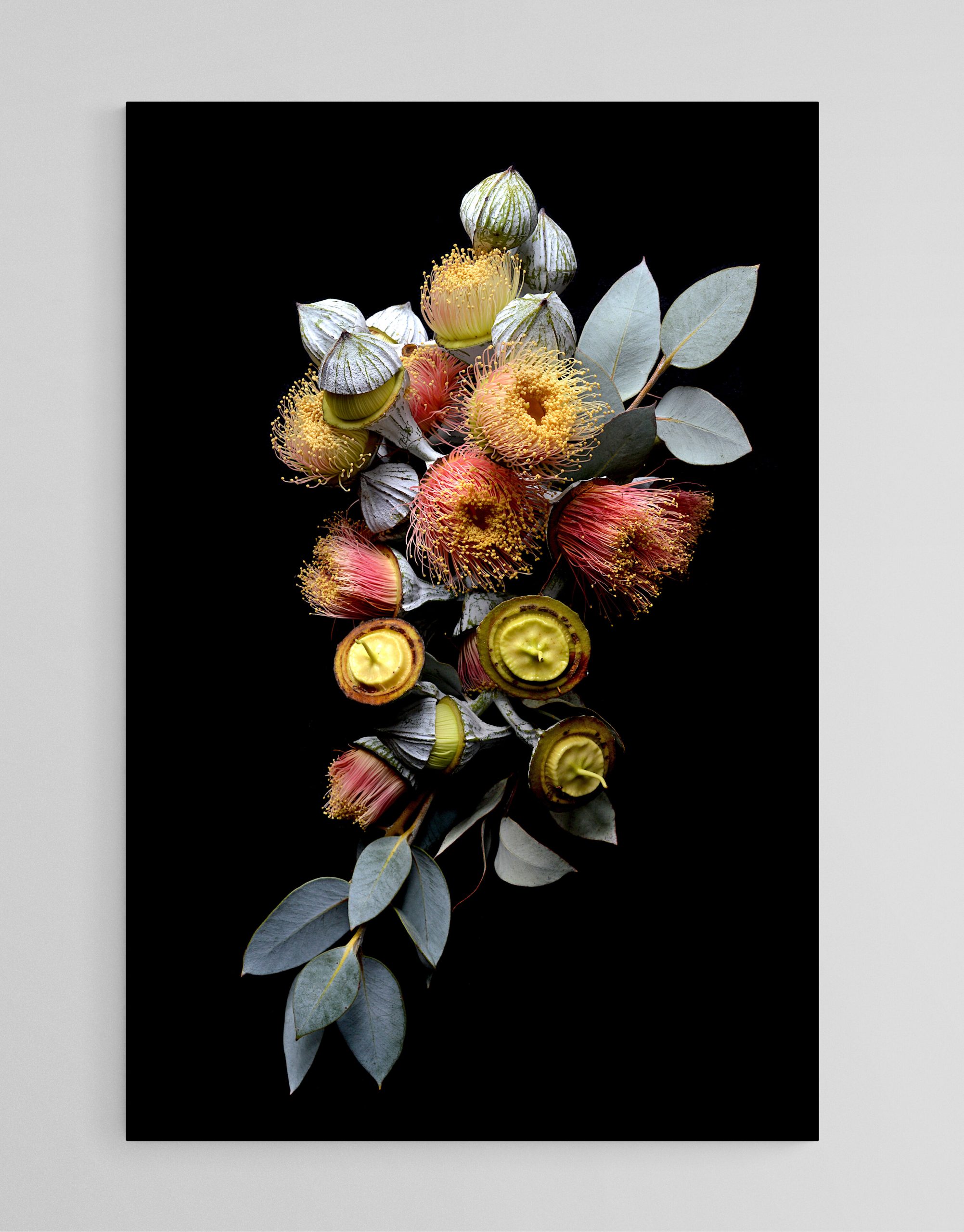 Empty Room 2023 11 16t170418.701