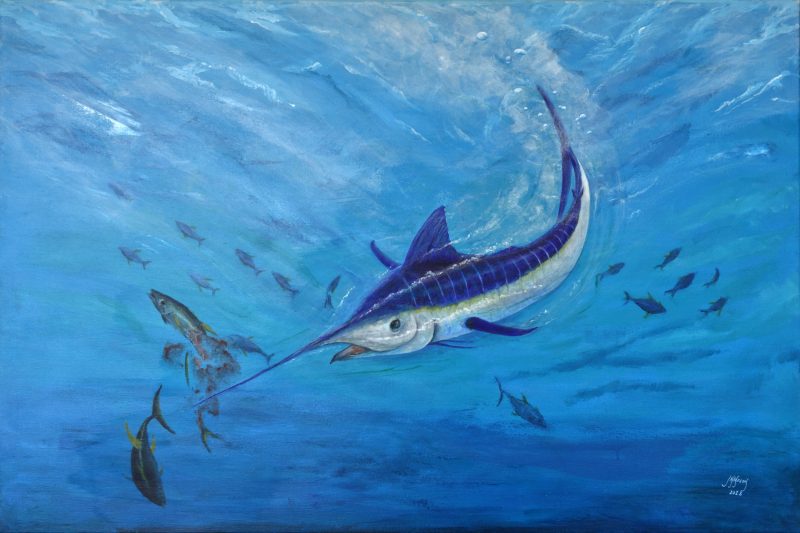 Marlin – Pacific Blue
