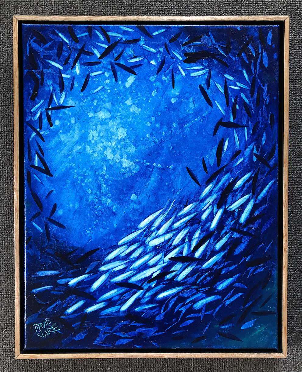 Fish School Mini 1 Frame Lr