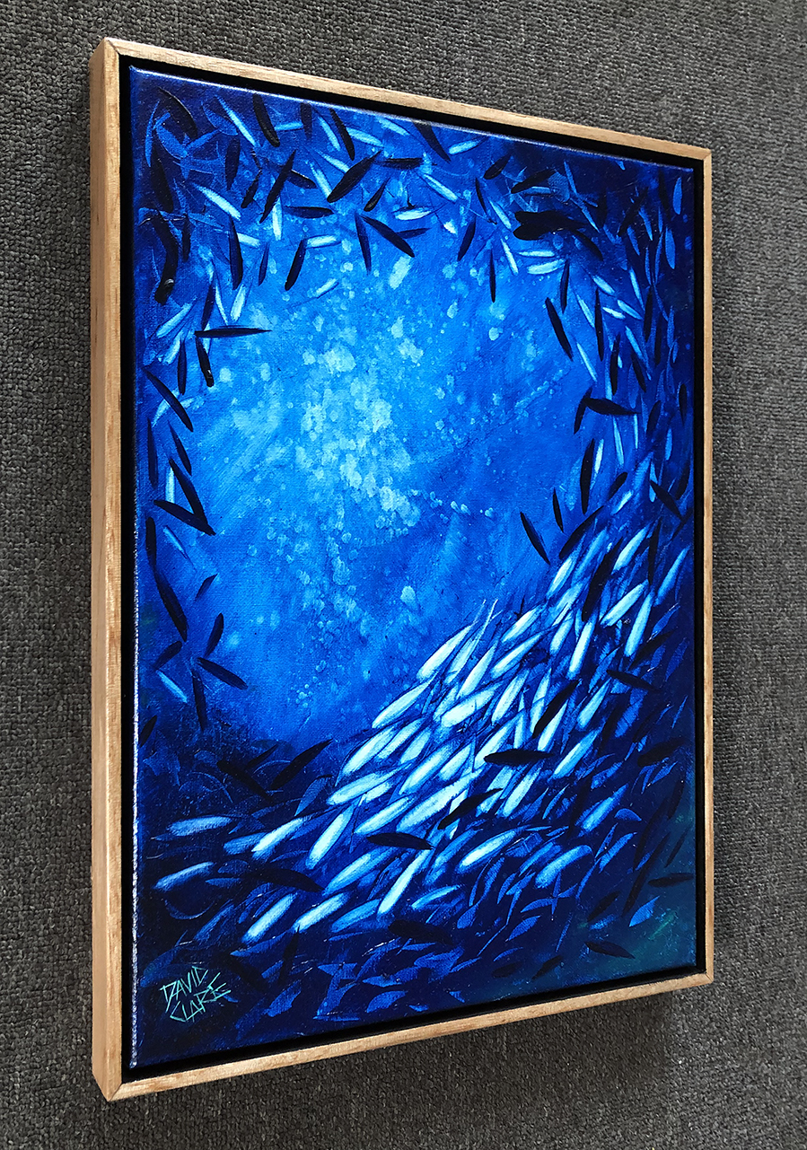 Fish School Mini 1 Ls Lr