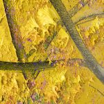 User 22106 Zelko 2023 11 20 T 21 30 28 420 Z 72dpi 5.jpg