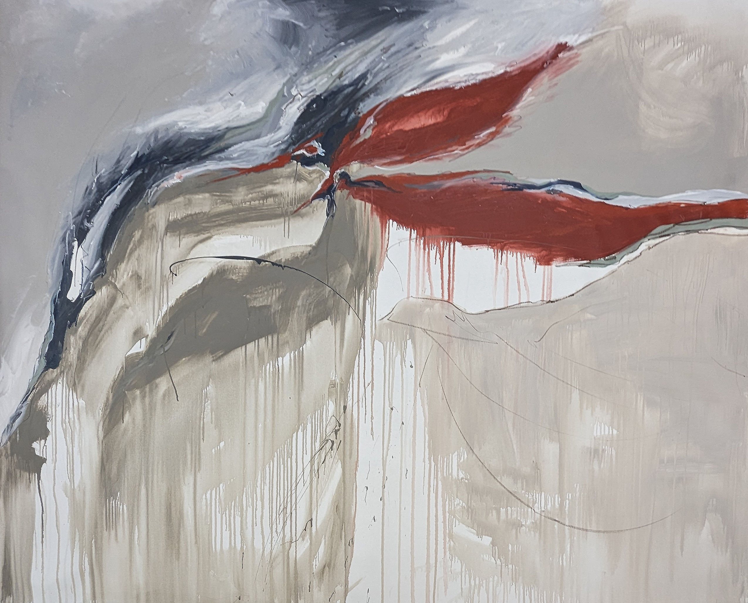 The Surface Of Duality Carla