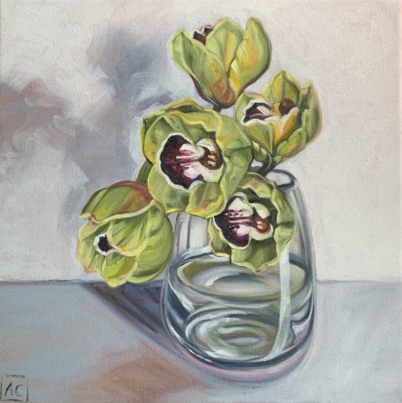 Orchid in Glass