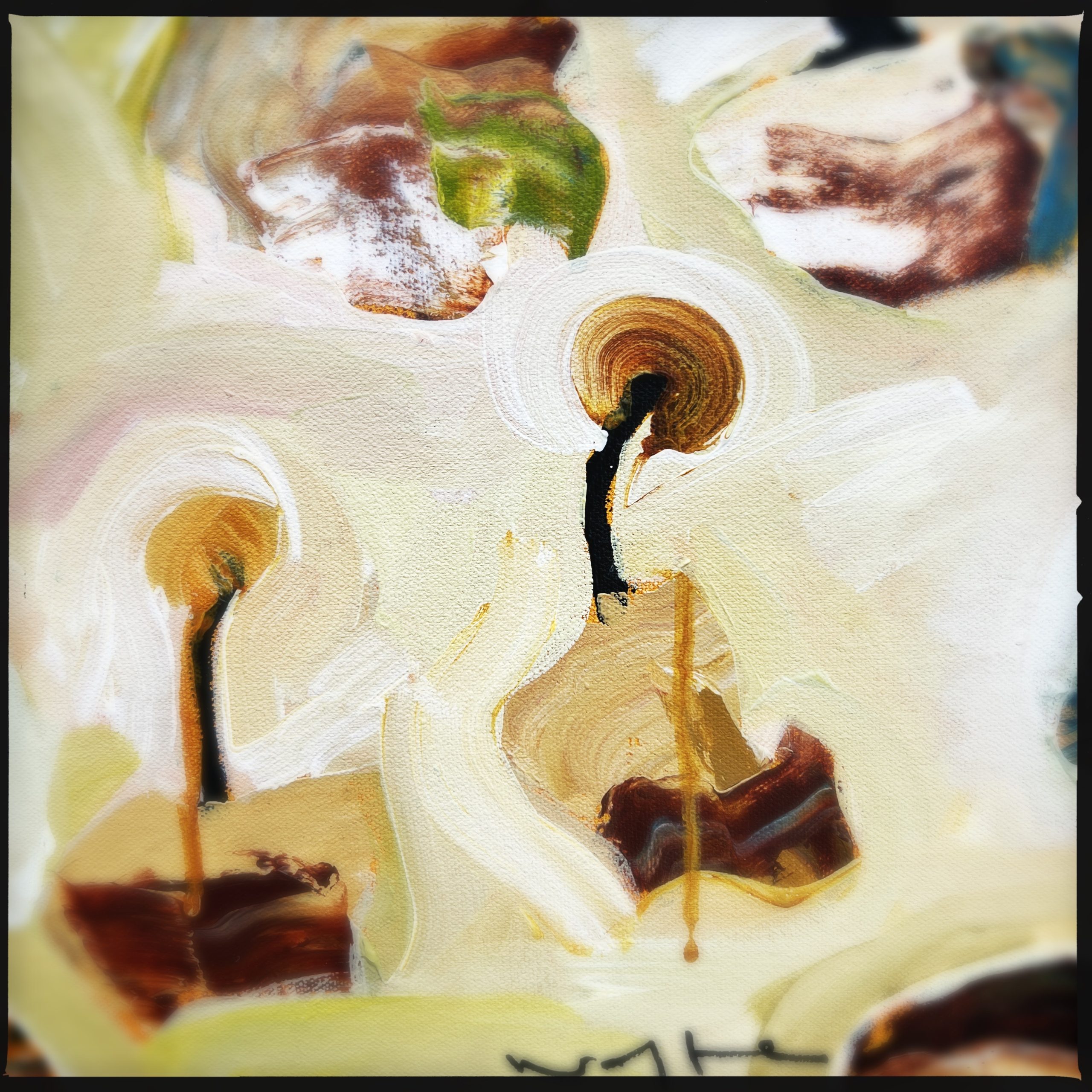 Hipstamaticphoto 721621429.821469