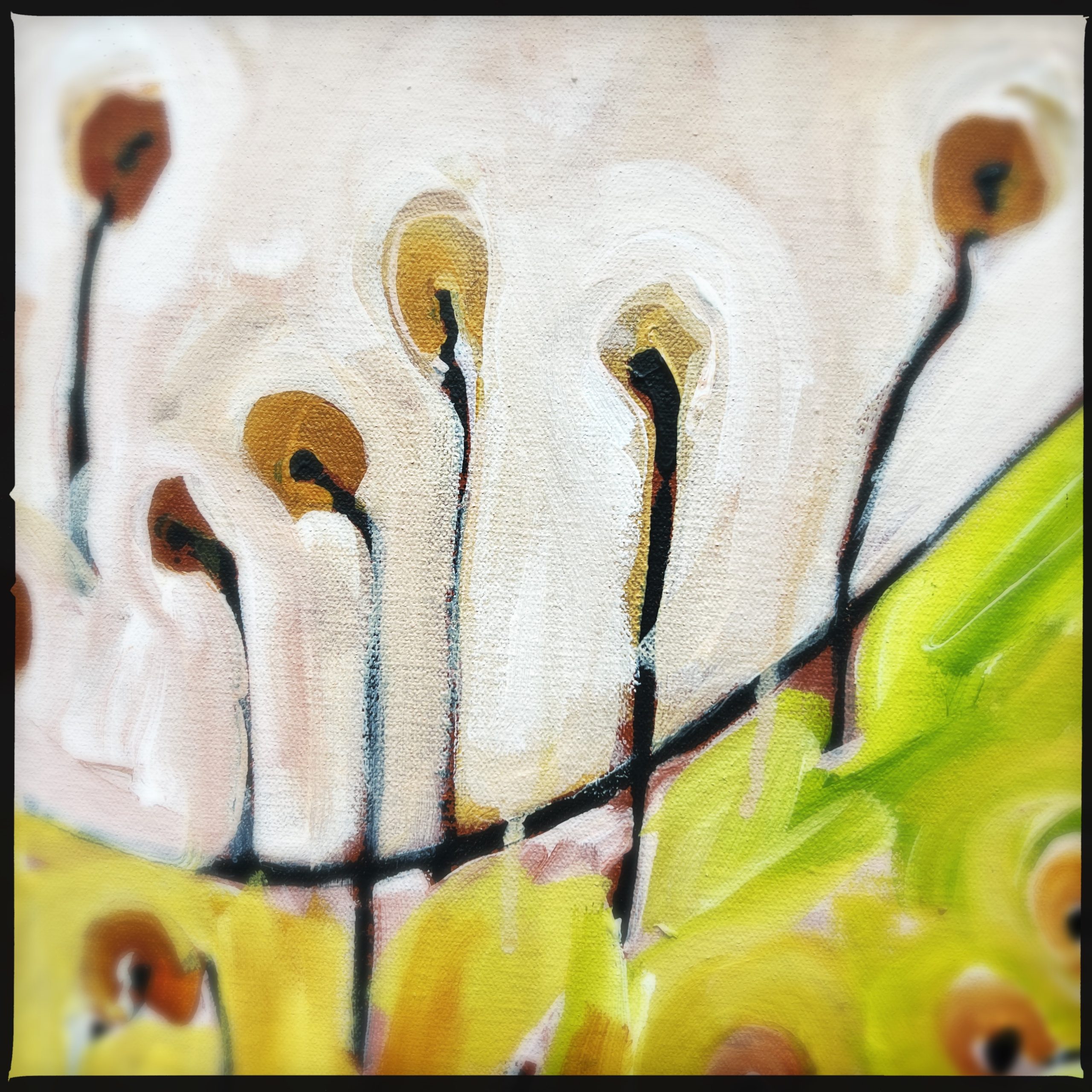 Hipstamaticphoto 721547293.118786